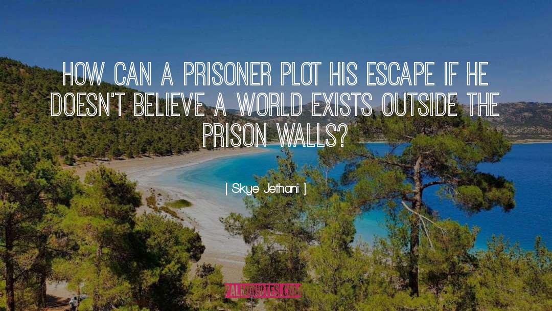 Prison Walls quotes by Skye Jethani