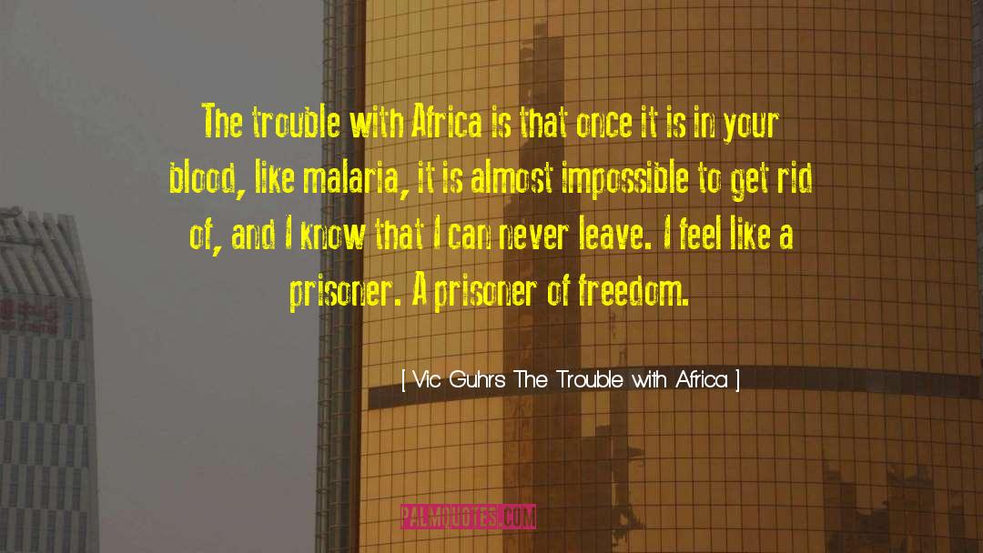 Prisoner Of The Pyrenees quotes by Vic Guhrs The Trouble With Africa