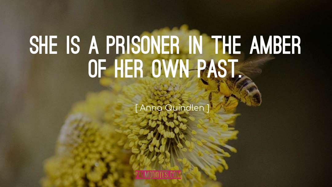 Prisoner quotes by Anna Quindlen