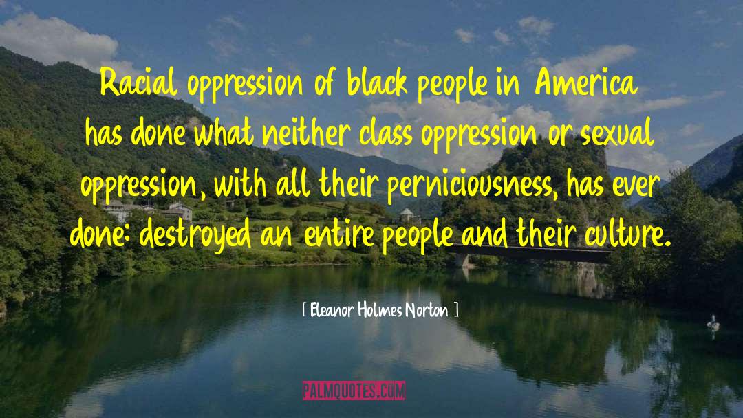 Prisons In America quotes by Eleanor Holmes Norton