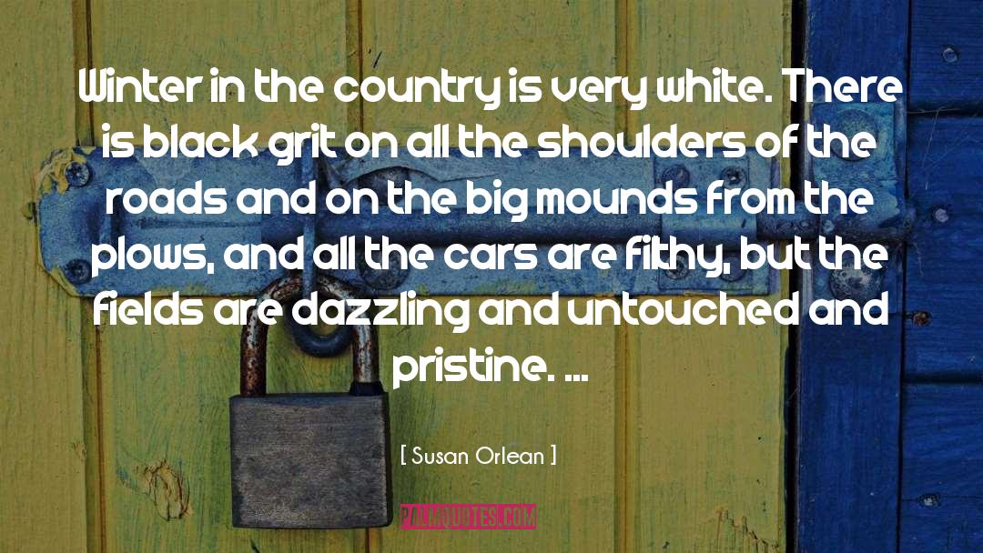 Pristine quotes by Susan Orlean