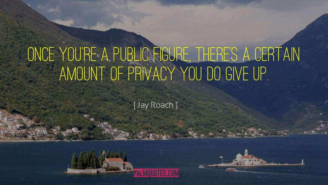 Privacy Piracy quotes by Jay Roach