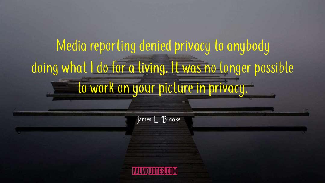 Privacy Protection quotes by James L. Brooks