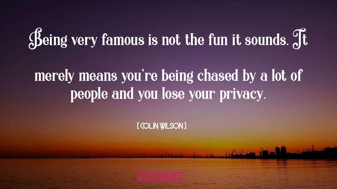 Privacy quotes by Colin Wilson