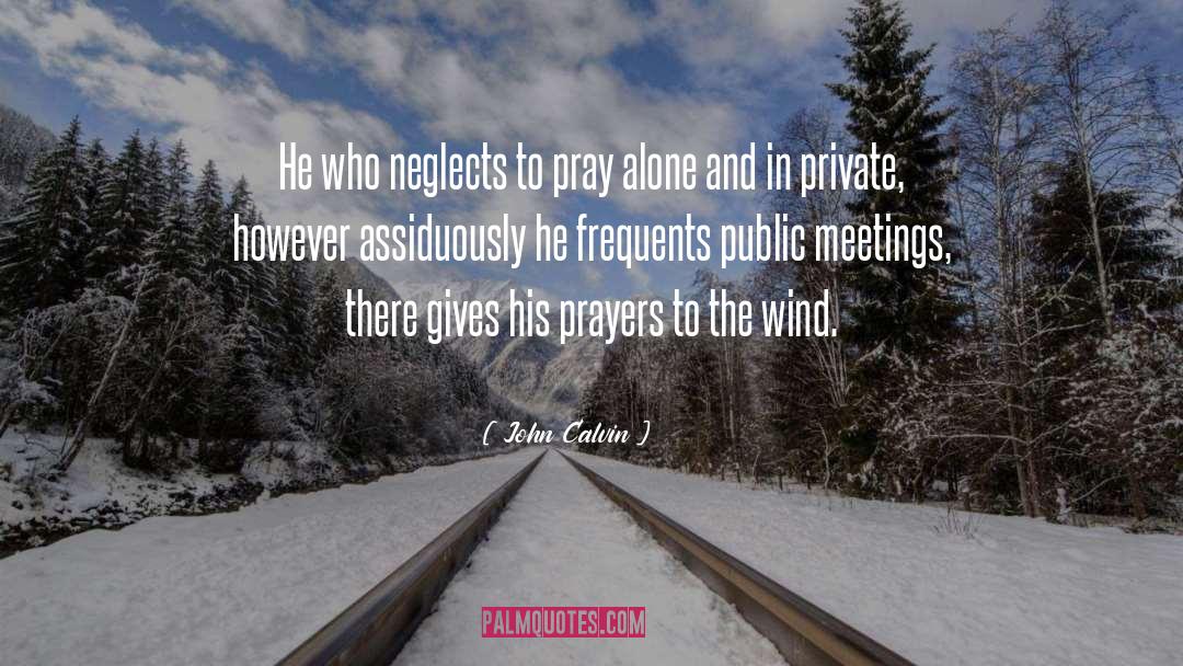 Private Detecitve quotes by John Calvin