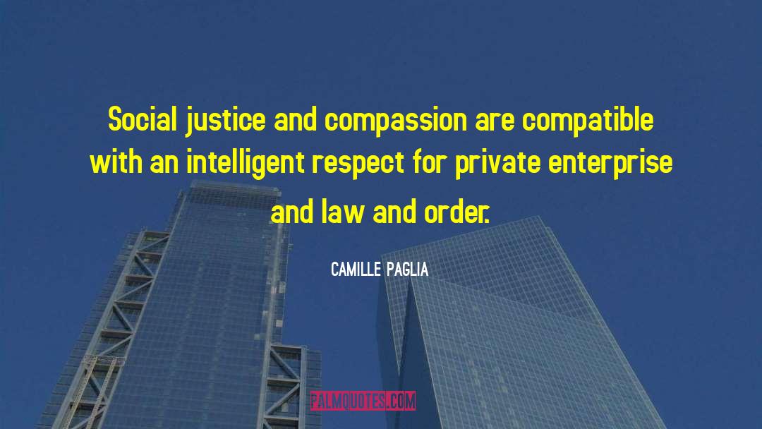 Private Enterprise quotes by Camille Paglia