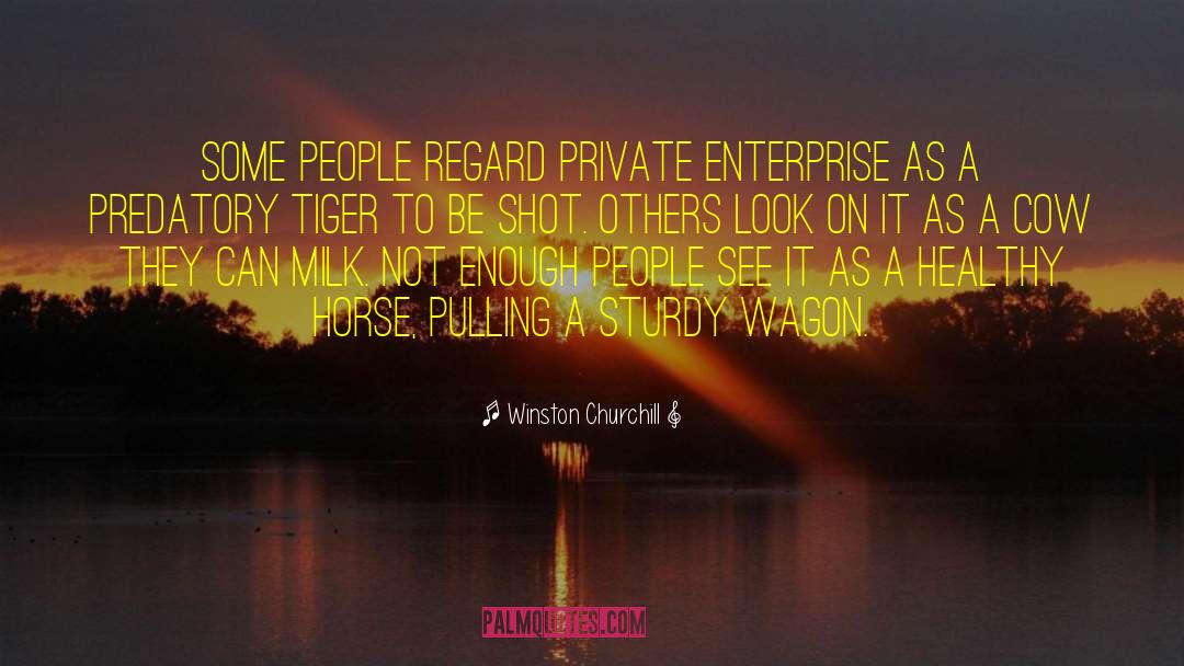 Private Enterprise quotes by Winston Churchill