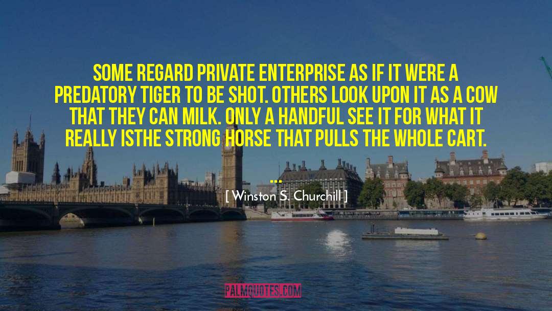 Private Enterprise quotes by Winston S. Churchill