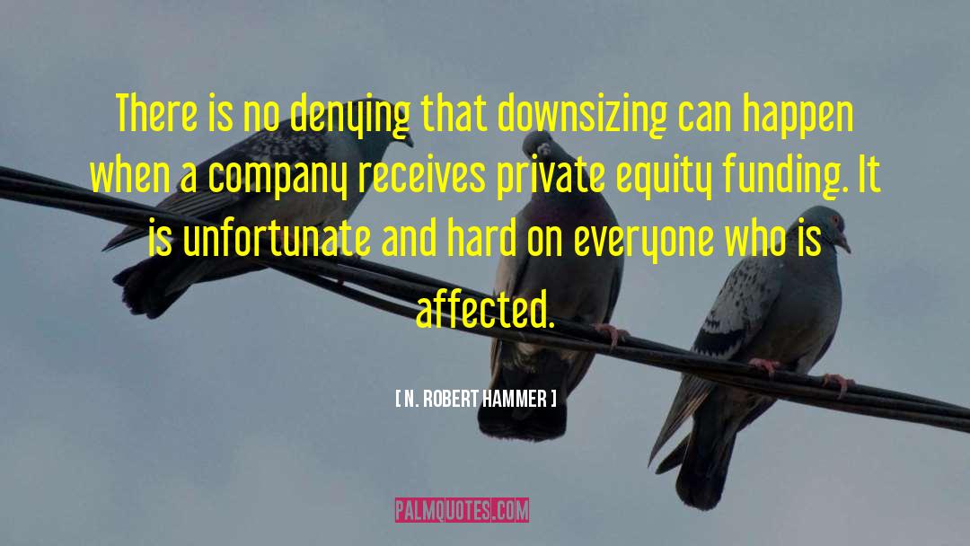 Private Equity quotes by N. Robert Hammer