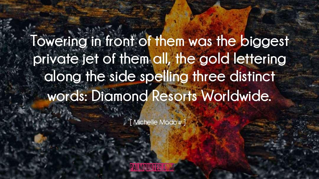 Private Jet quotes by Michelle Madow