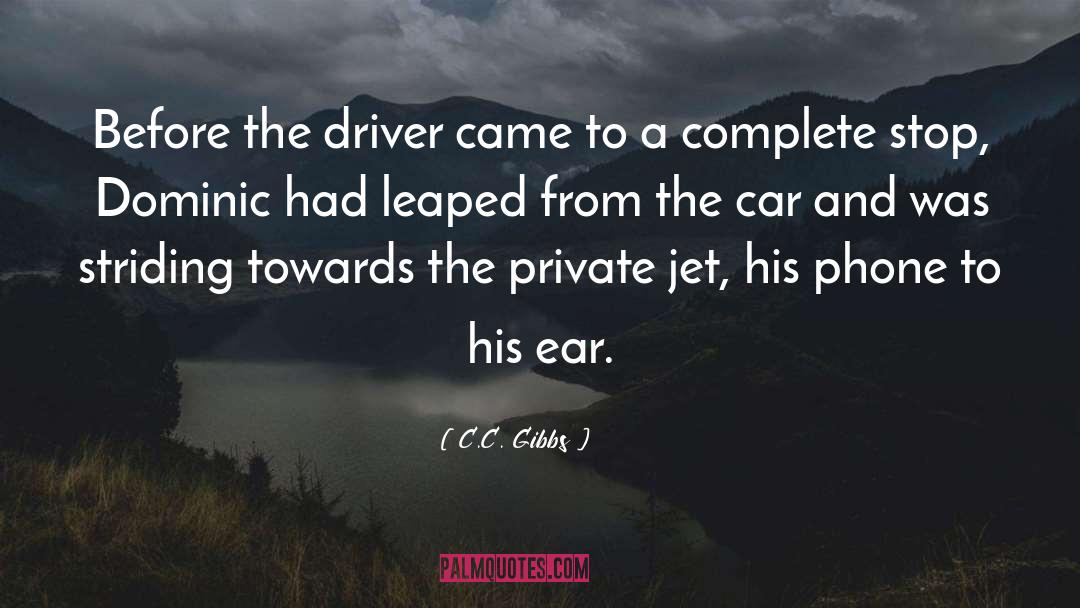 Private Jet quotes by C.C. Gibbs