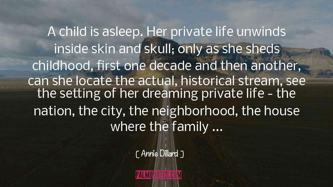 Private Life quotes by Annie Dillard