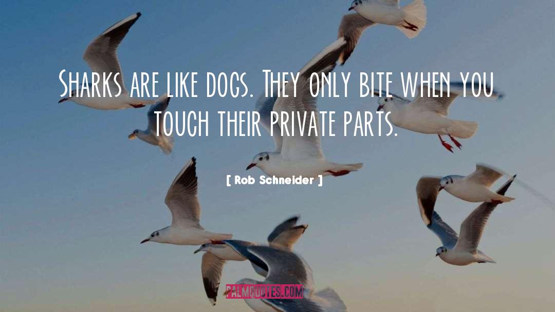 Private Parts quotes by Rob Schneider