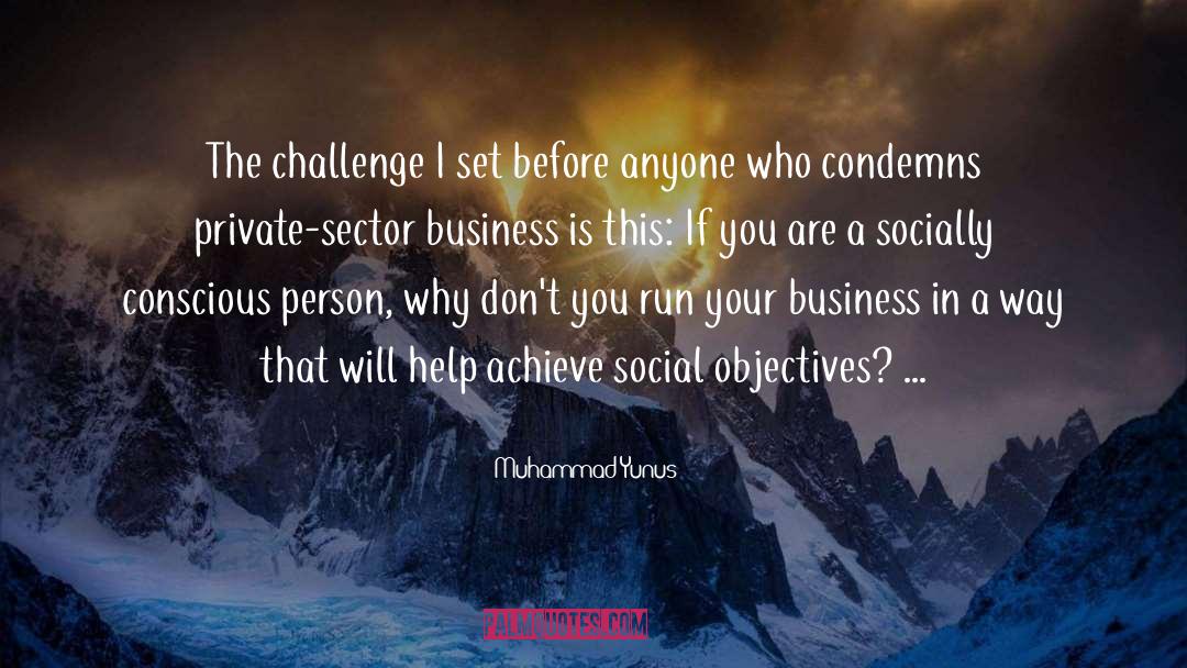 Private Sector quotes by Muhammad Yunus