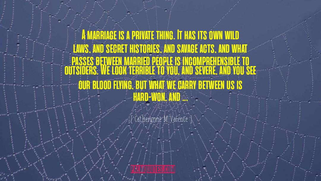 Private Things quotes by Catherynne M Valente