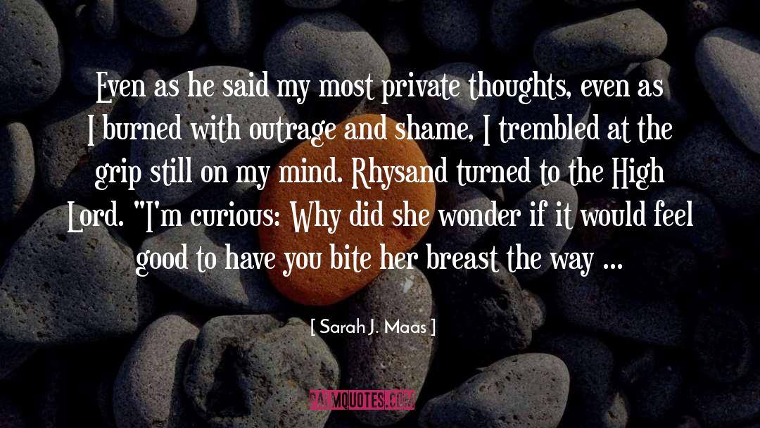 Private Thoughts quotes by Sarah J. Maas