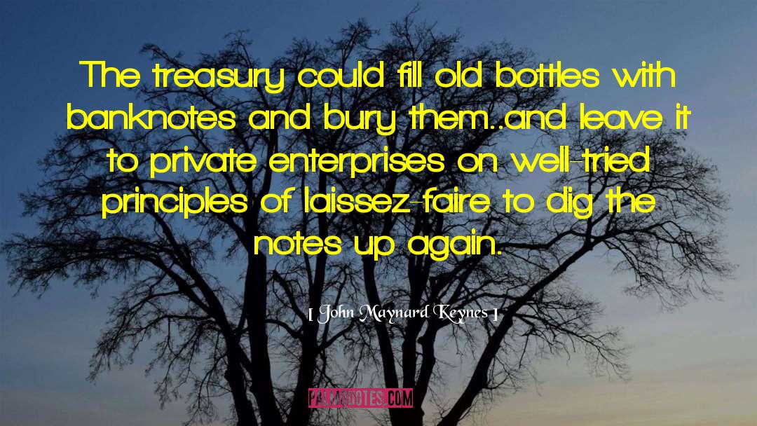 Private Victory quotes by John Maynard Keynes