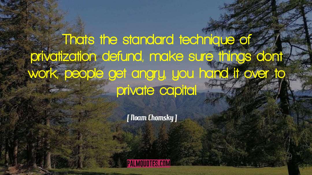 Privatization quotes by Noam Chomsky