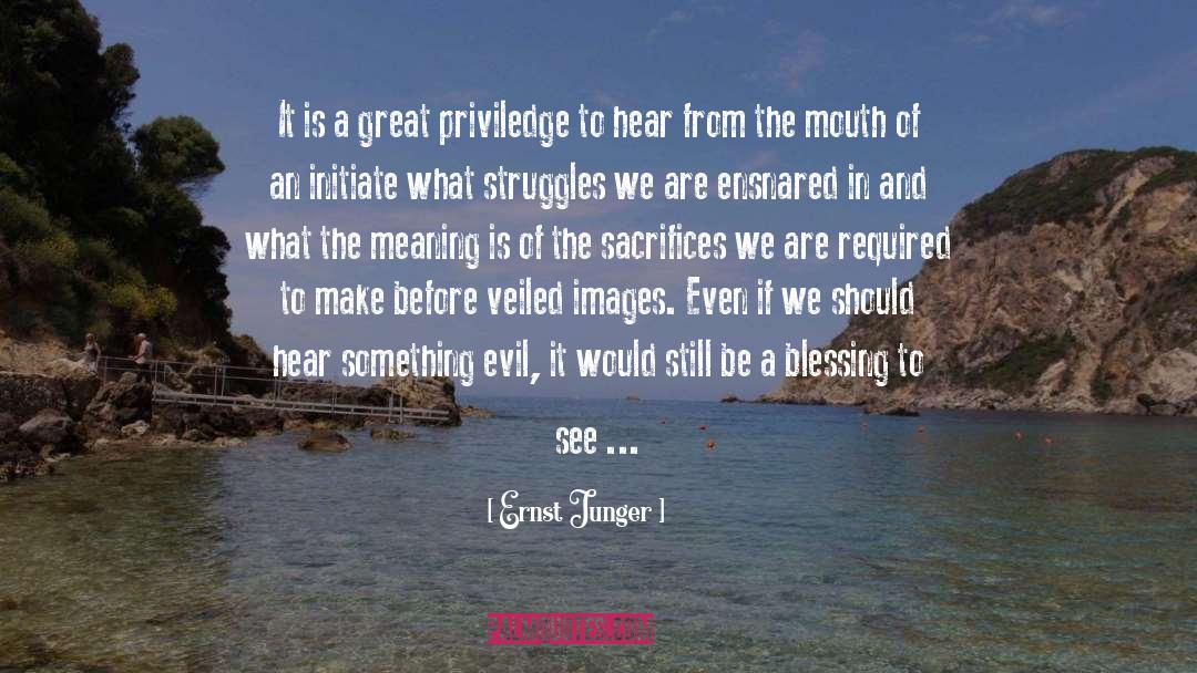 Priviledge quotes by Ernst Junger