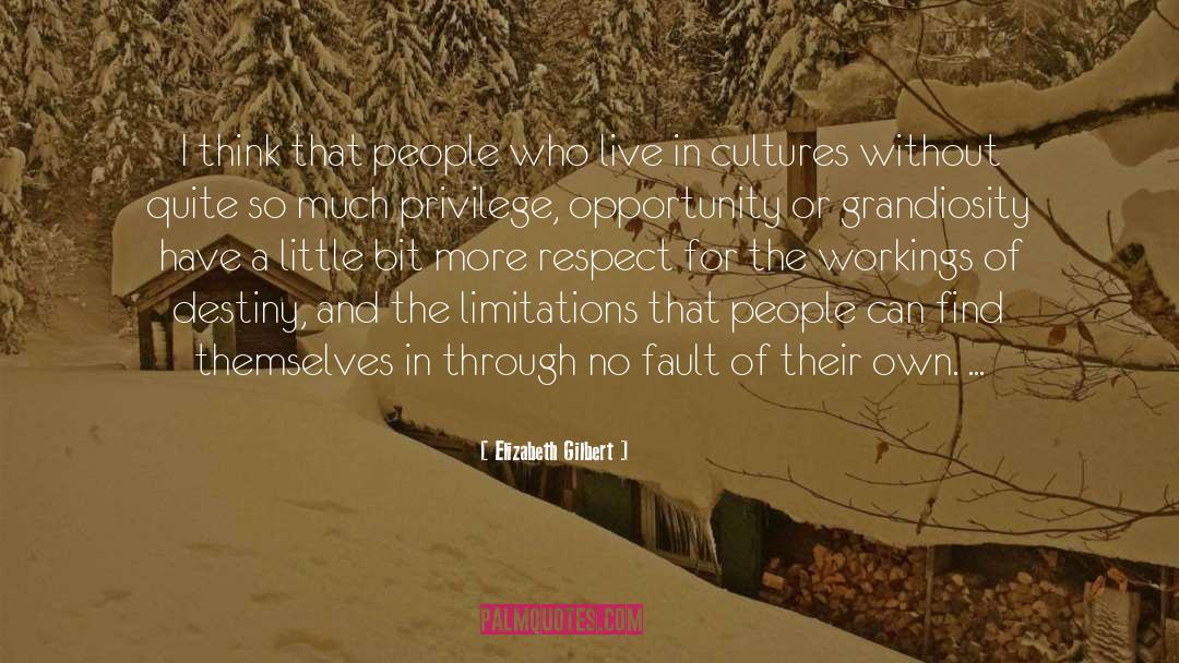 Privilege quotes by Elizabeth Gilbert