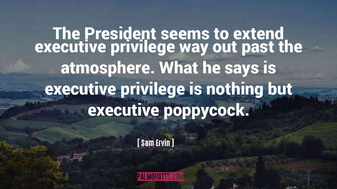 Privilege quotes by Sam Ervin