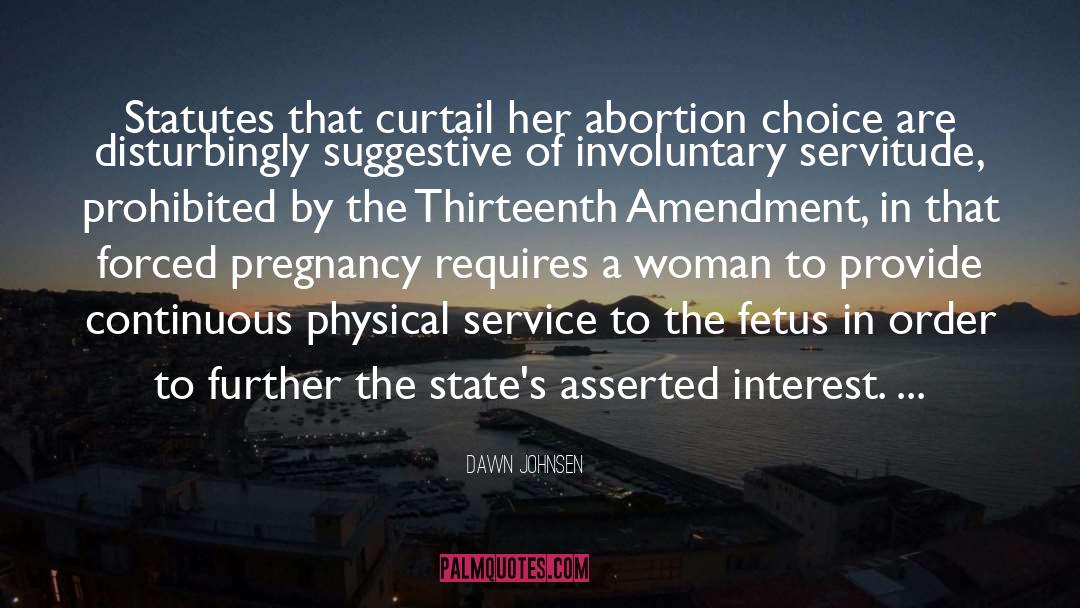 Pro Choice Abortion quotes by Dawn Johnsen