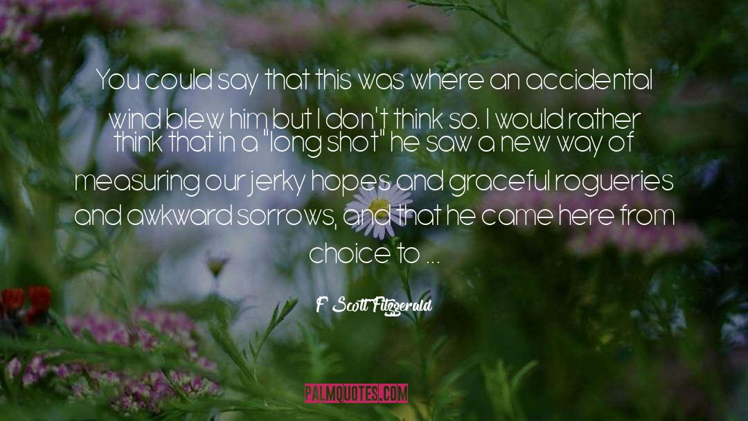 Pro Choice quotes by F Scott Fitzgerald