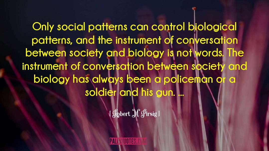 Pro Gun Control quotes by Robert M. Pirsig
