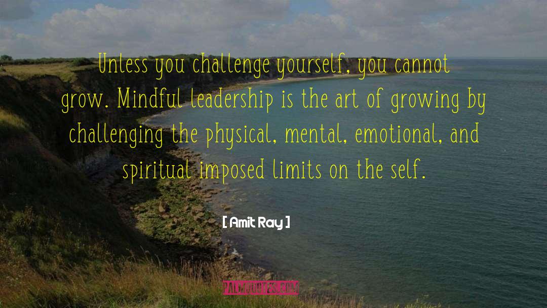 Pro Leadership quotes by Amit Ray