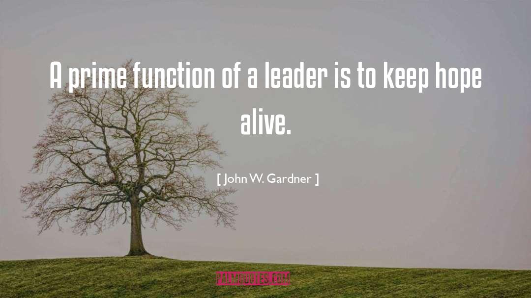 Pro Leadership quotes by John W. Gardner