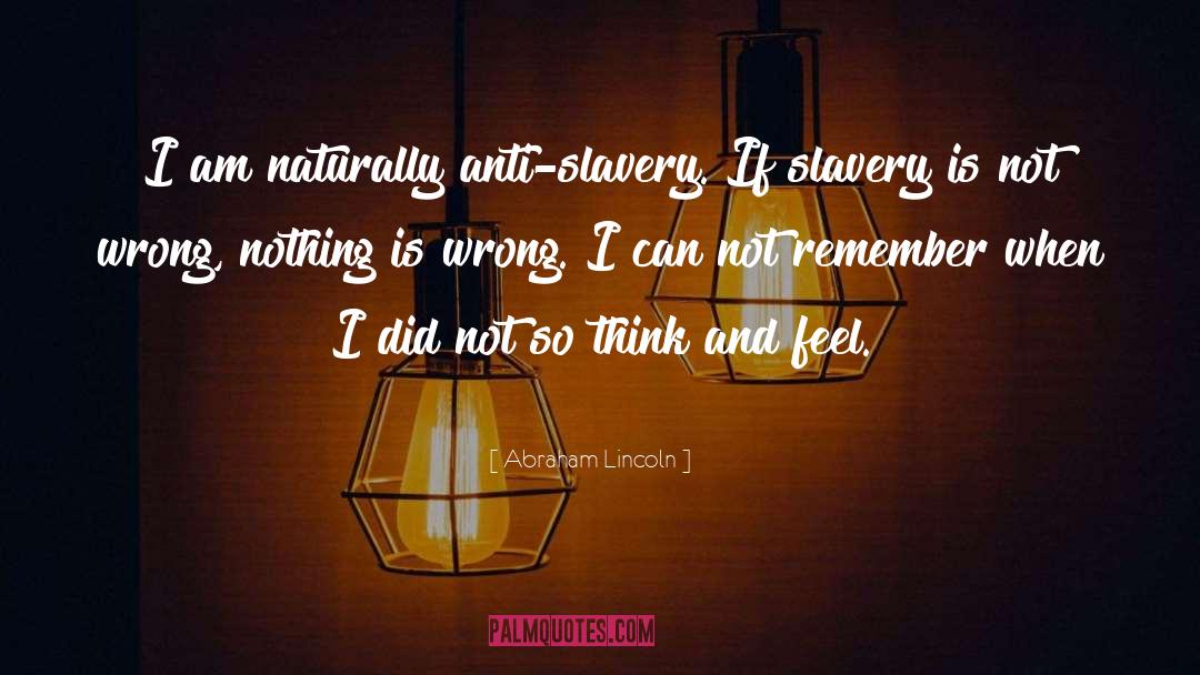 Pro Slavery quotes by Abraham Lincoln