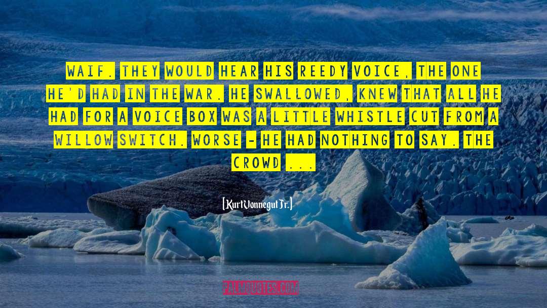 Pro Voice quotes by Kurt Vonnegut Jr.