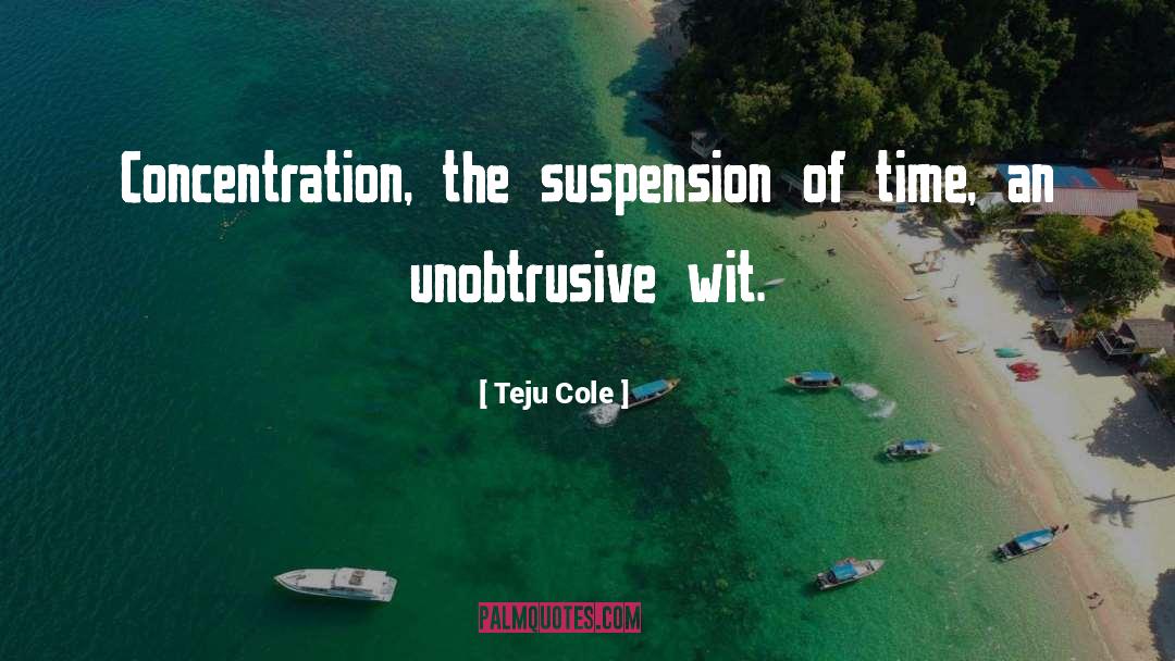 Probated Suspension quotes by Teju Cole