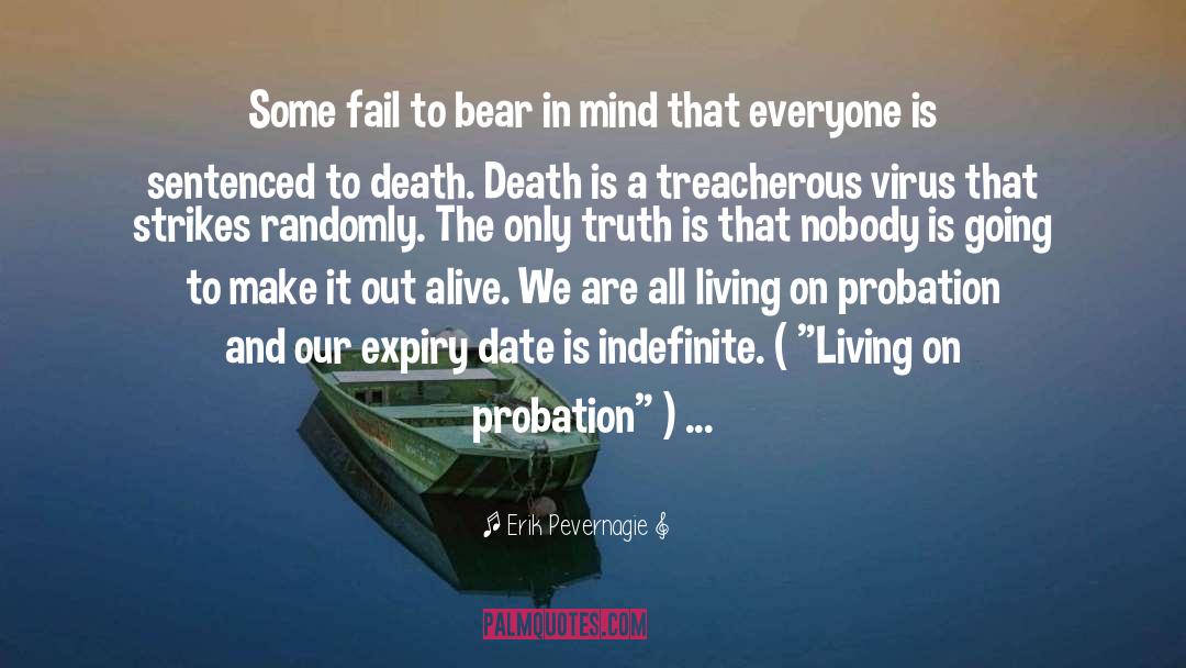 Probation quotes by Erik Pevernagie