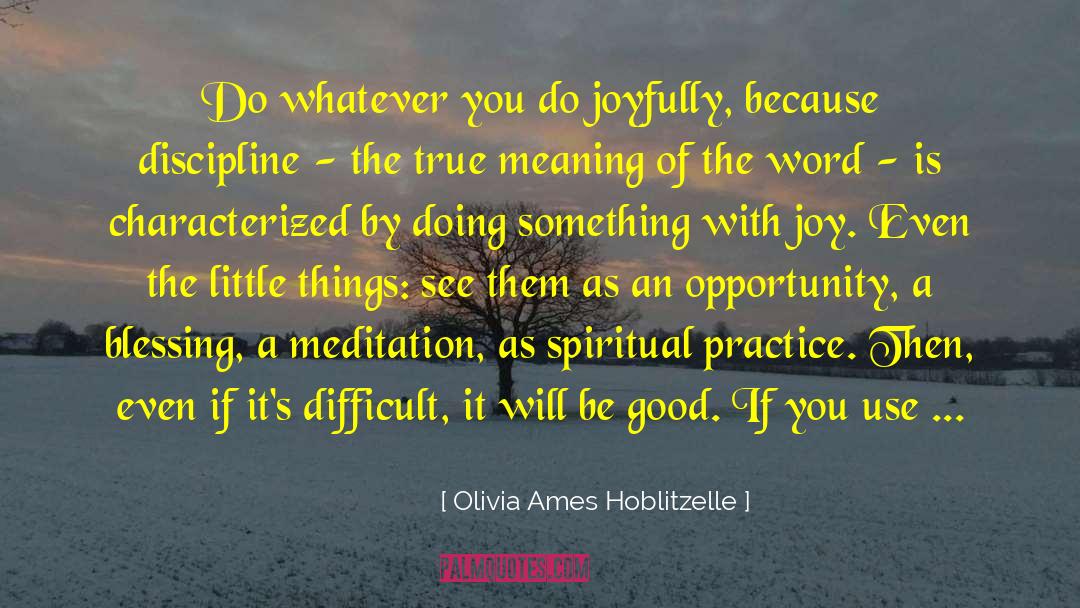 Problem As An Opportunity quotes by Olivia Ames Hoblitzelle