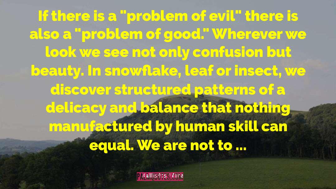 Problem Of Evil quotes by Kallistos Ware