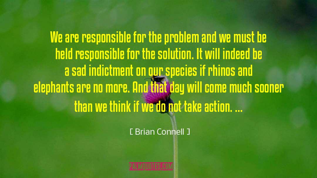 Problem Solvers quotes by Brian Connell