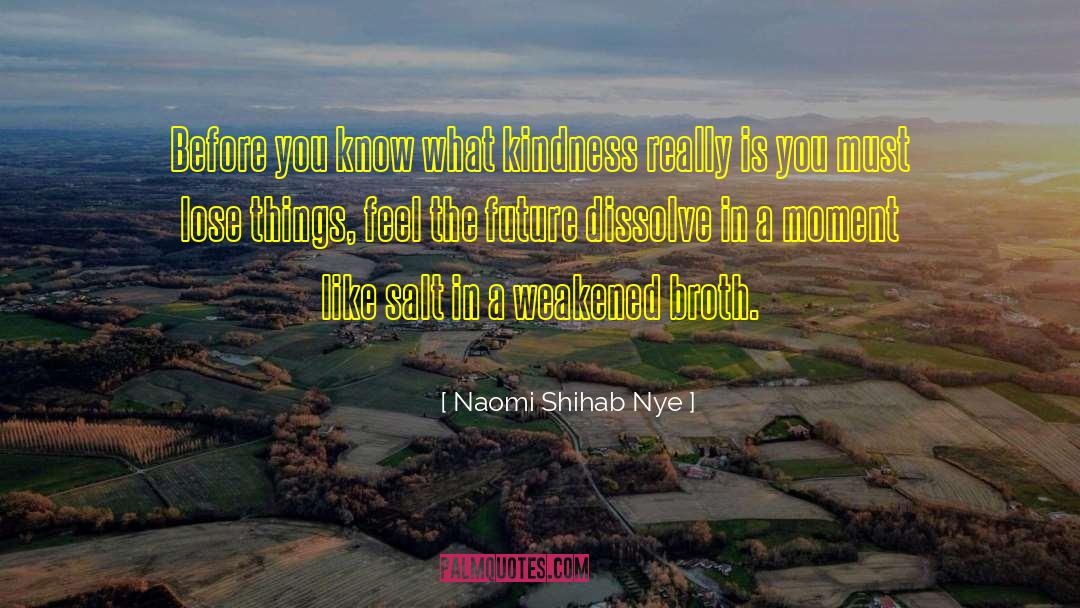 Problems Dissolve In You quotes by Naomi Shihab Nye