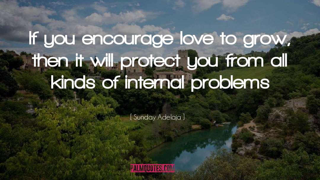 Problems Love quotes by Sunday Adelaja