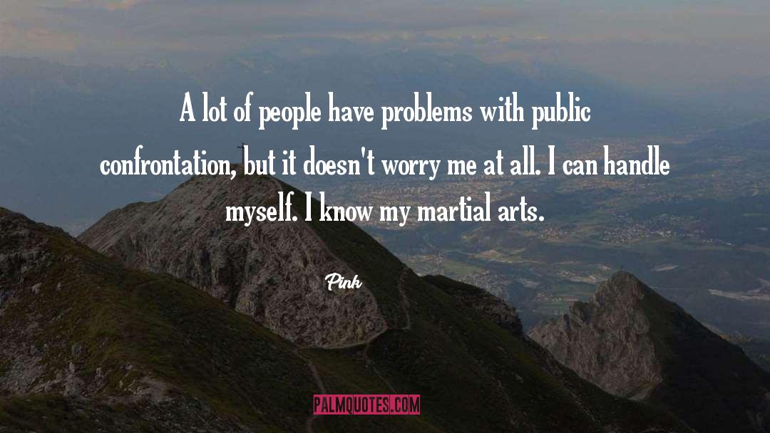 Problems With Men quotes by Pink