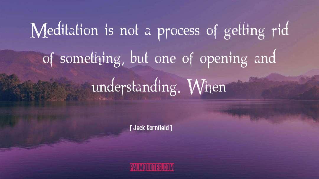 Process Design quotes by Jack Kornfield