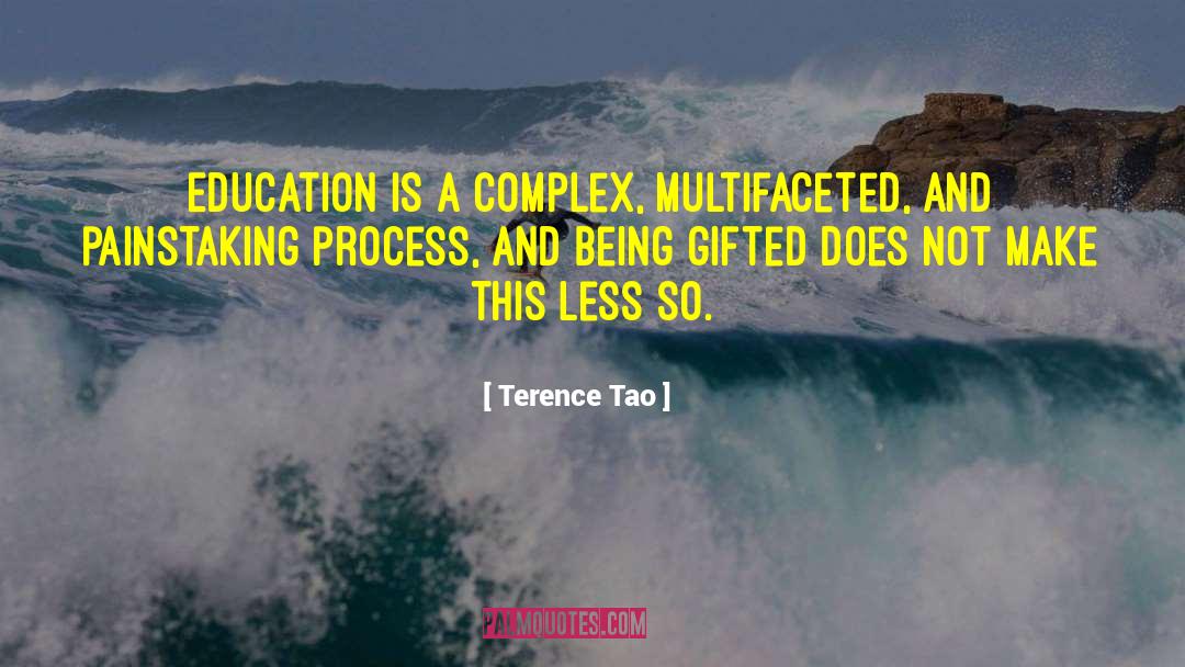 Process Improvement quotes by Terence Tao