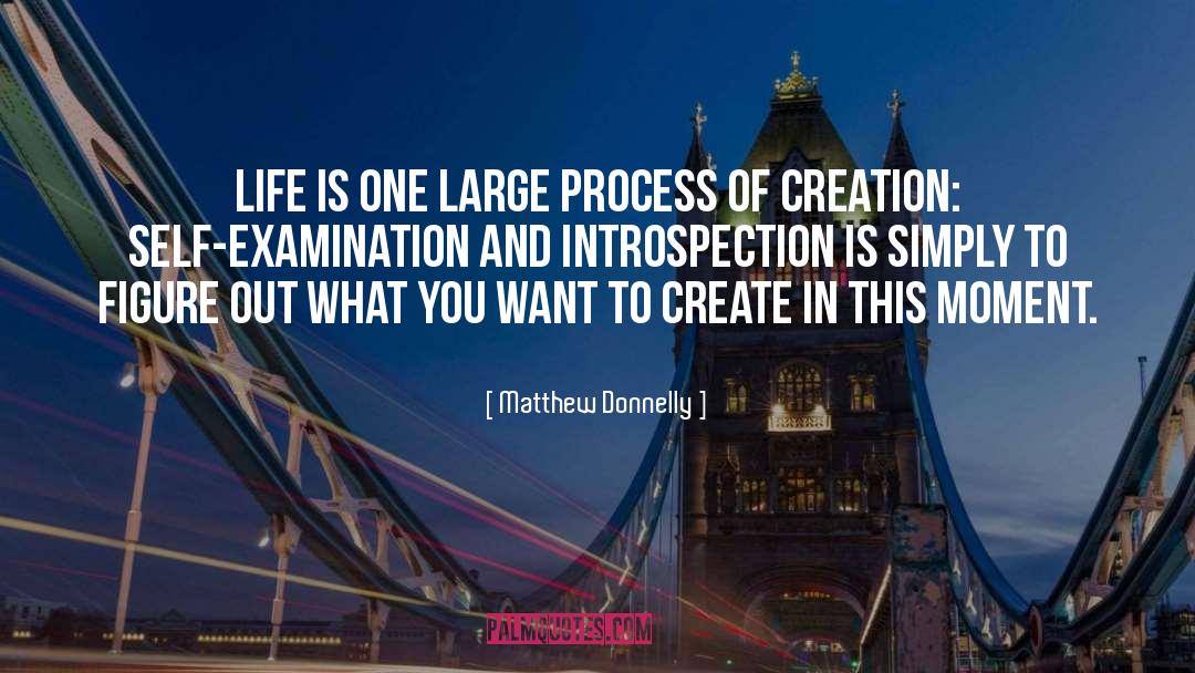 Process Of Creation quotes by Matthew Donnelly