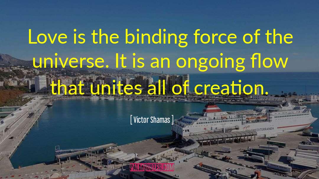 Process Of Creation quotes by Victor Shamas