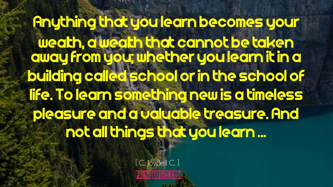 Process Of Learning quotes by C. JoyBell C.