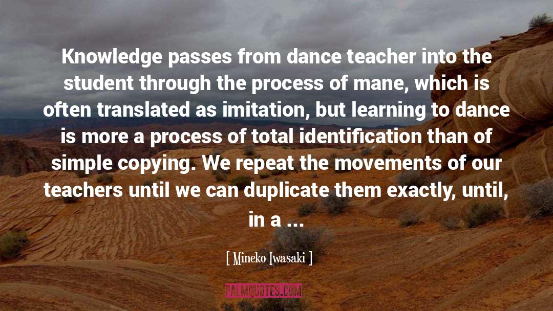 Process Of Learning quotes by Mineko Iwasaki