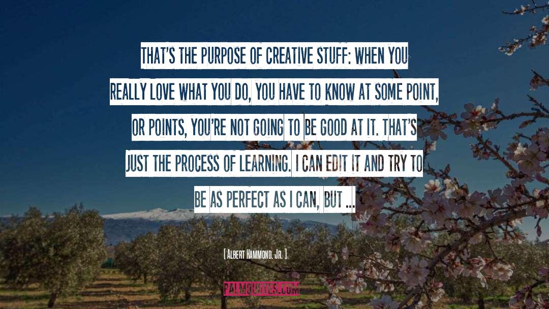 Process Of Learning quotes by Albert Hammond, Jr.