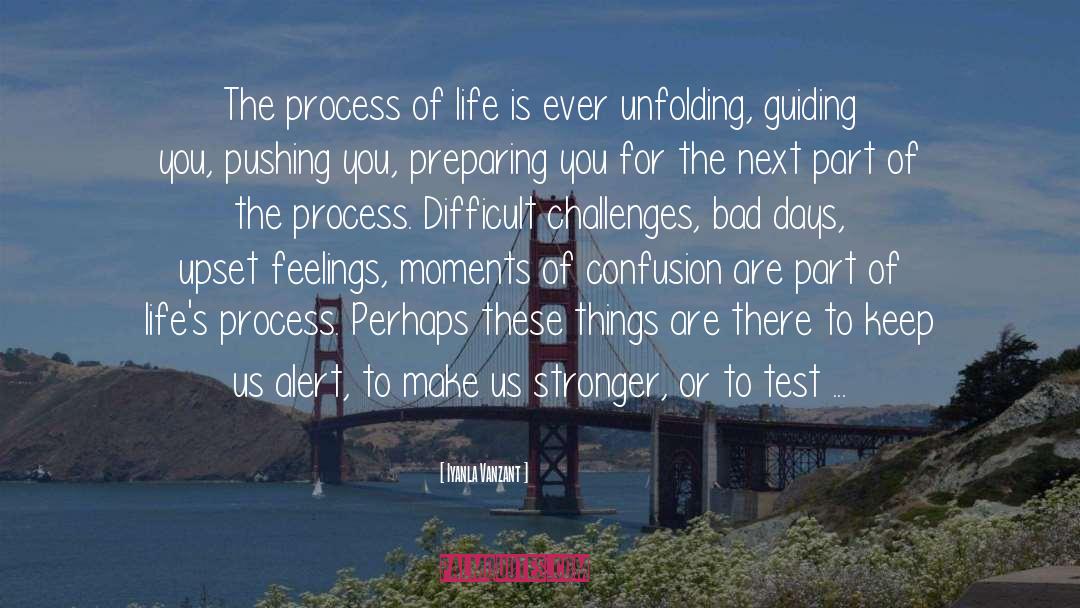 Process Of Life quotes by Iyanla Vanzant