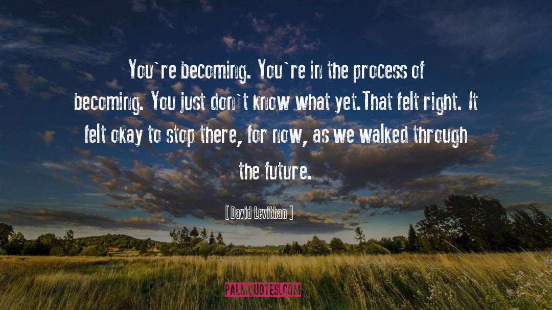 Process quotes by David Levithan