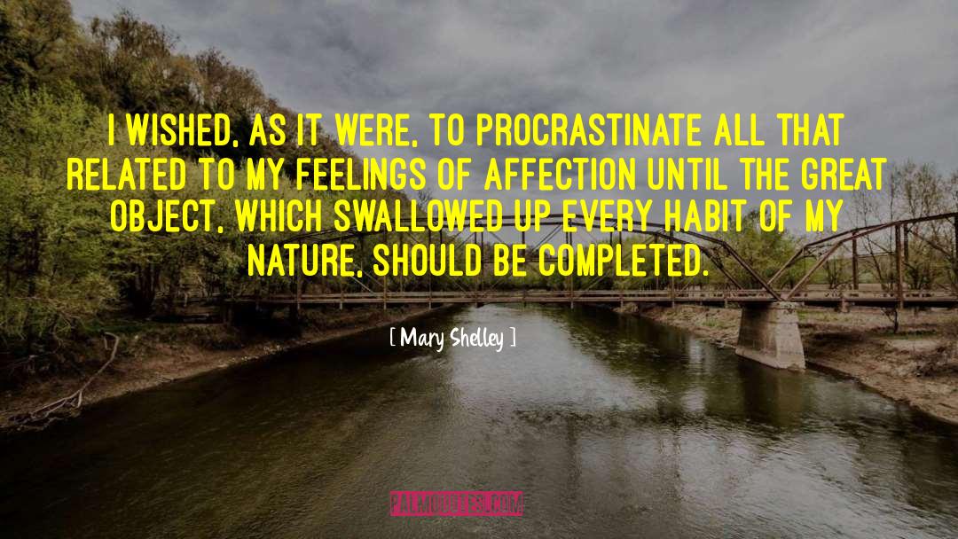 Procrastinate quotes by Mary Shelley